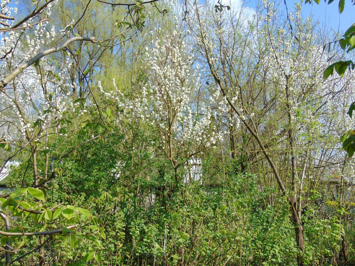 Bnb Heimdall Brecht Exterior photo